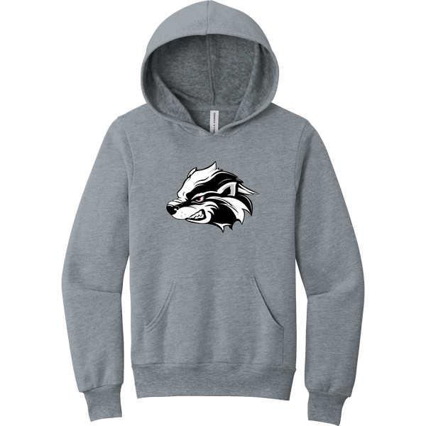 Allegheny Badgers Youth Sponge Fleece Pullover Hoodie